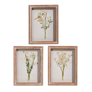 10" Botanical Shadowbox Prints