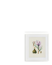 Load image into Gallery viewer, Flower Study Paintings
