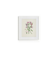 Load image into Gallery viewer, Flower Study Paintings
