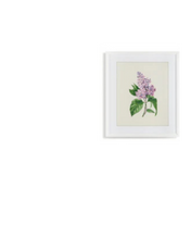 Load image into Gallery viewer, Flower Study Paintings
