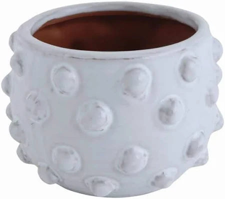 Terra Cotta Planter with Raised Dots