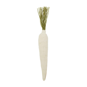 Carrot Decor